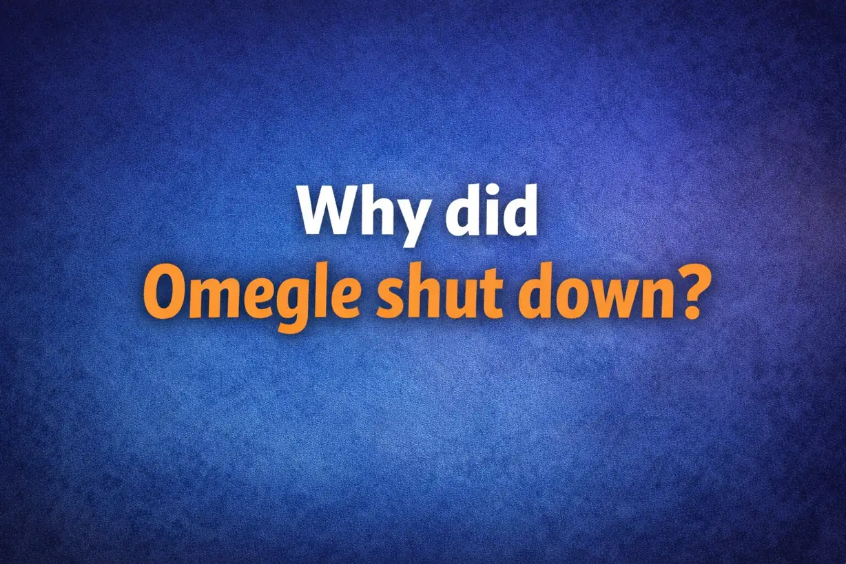 blog-Why Did Omegle Shut Down? Is Omegle Gone & Where to Tal...